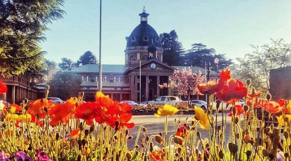 Bed and Breakfast Hawk'S Nest Bed & Breakfast Bathurst Exterior foto